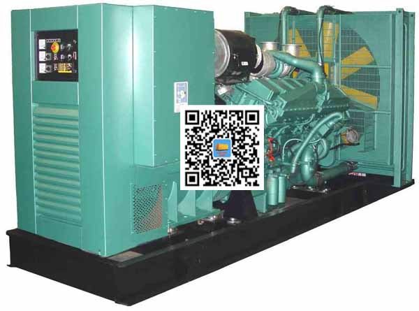 白山笼型异步发电机的电力电子控制技术